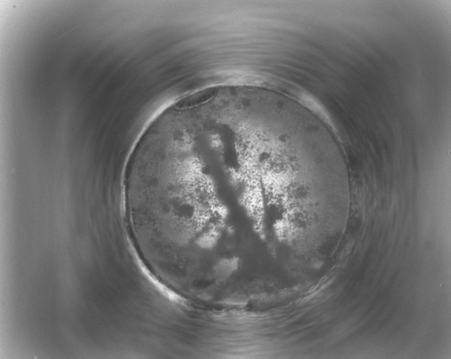 X0000066091095200603131157