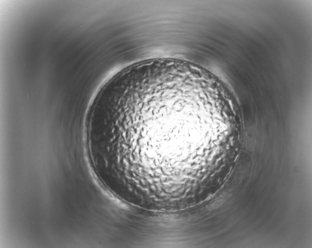 X0000066091096200603131157