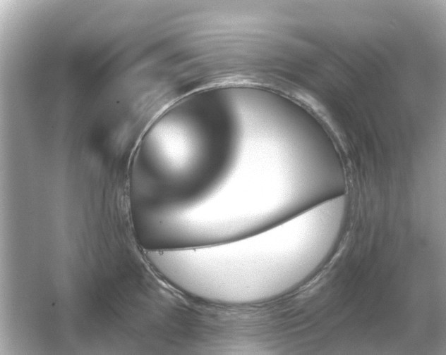 X0000066091097200603131157