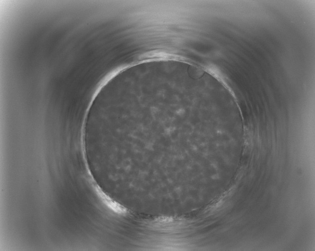 X0000066091098200603131157