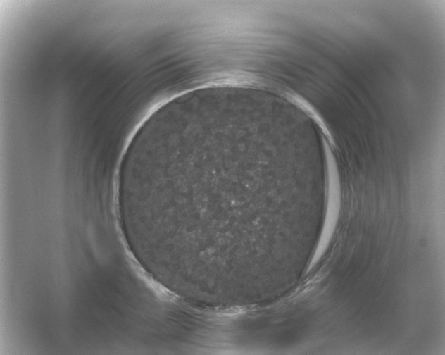 X0000066091099200603131157