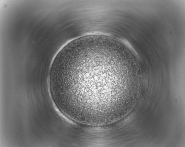 X0000066091100200603131157