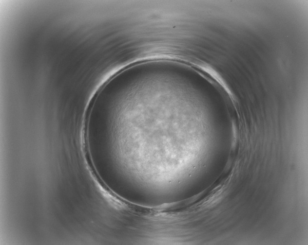 X0000066091101200603131157