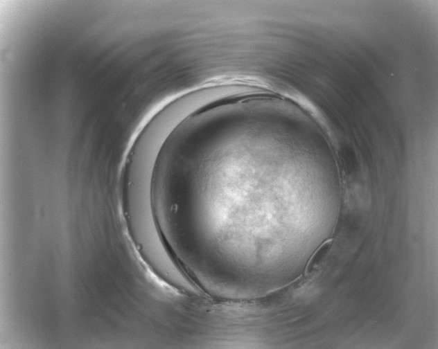 X0000066091102200603131157