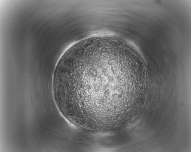 X0000066091103200603131157