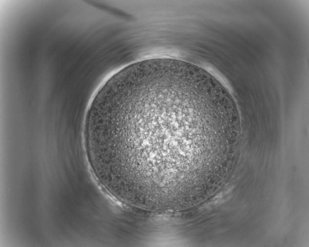 X0000066091104200603131157