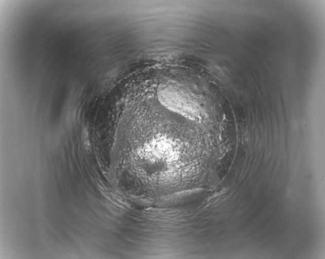 X0000066091106200603131156