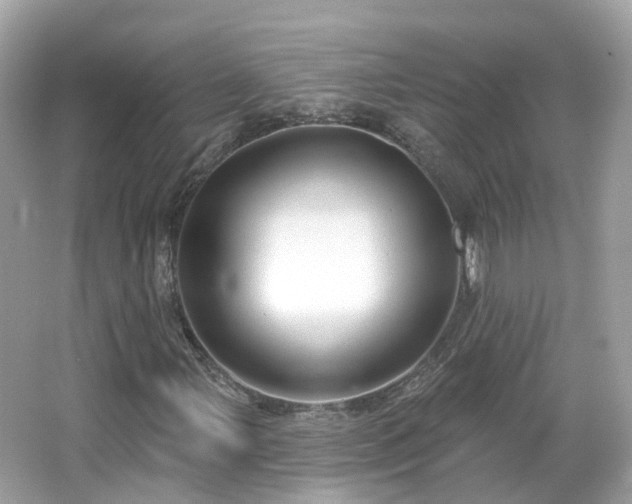 X0000066091107200603131156