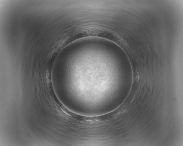 X0000066091108200603131156