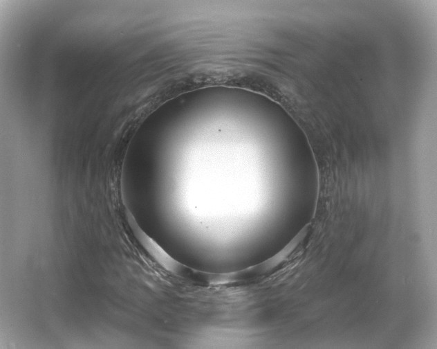 X0000066091109200603131156