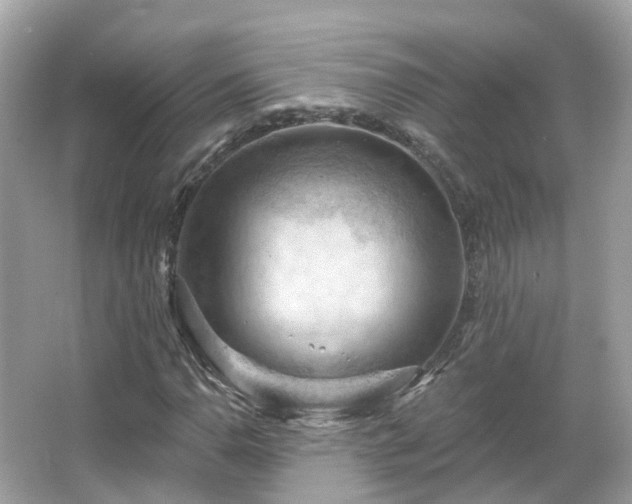 X0000066091110200603131156