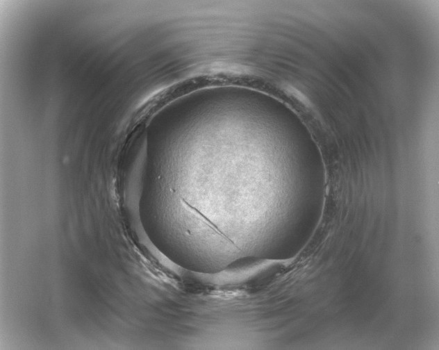 X0000066091112200603131156