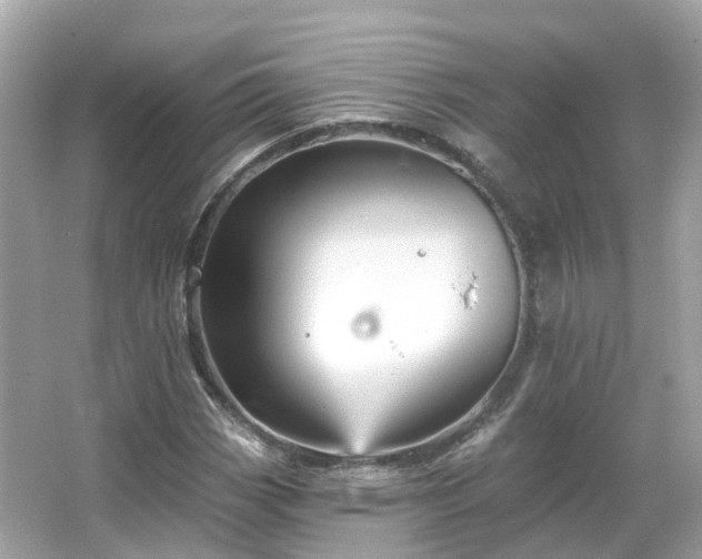 X0000066091113200603131156