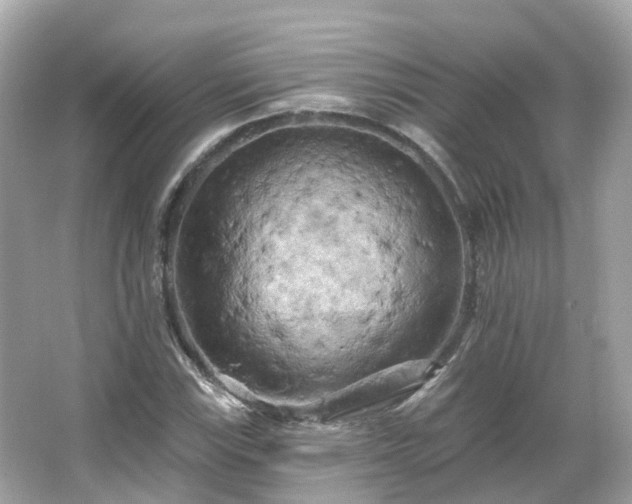 X0000066091115200603131156