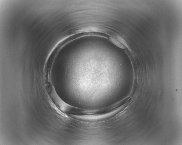 X0000066091116200603131156