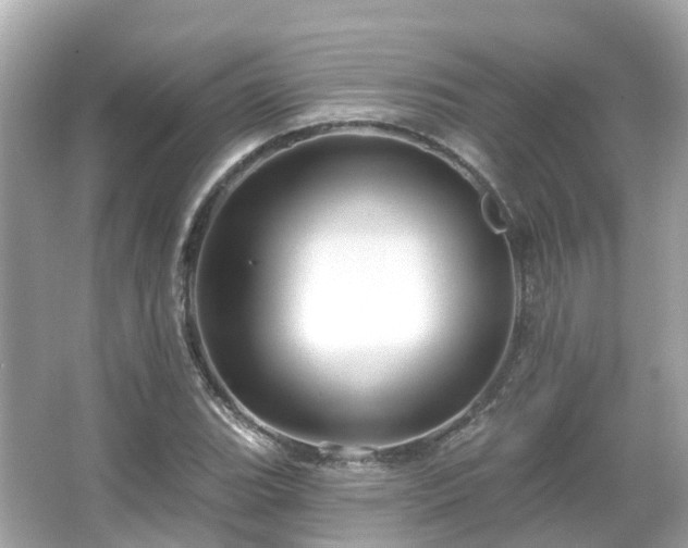 X0000066091119200603131156