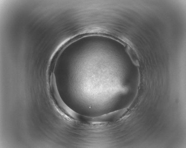 X0000066091120200603131156