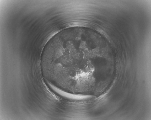 X0000066091121200603131157