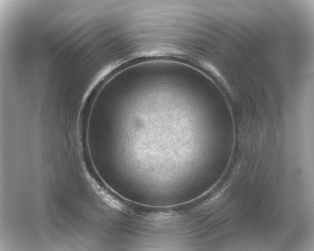 X0000066091122200603131157