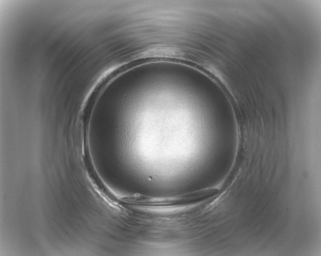 X0000066091123200603131157