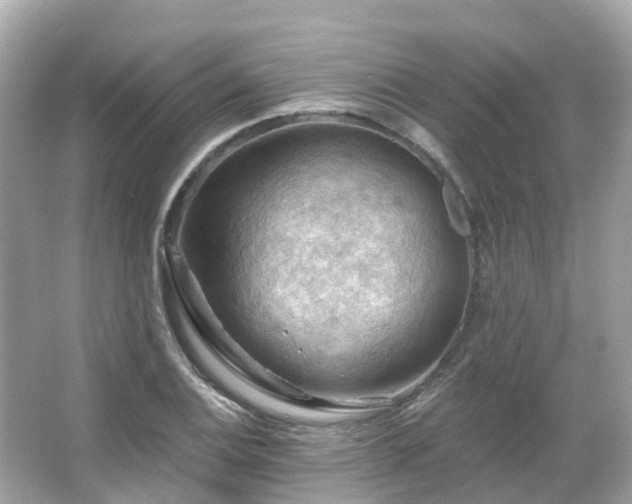 X0000066091124200603131157