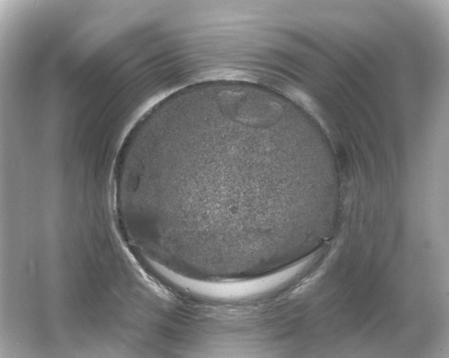 X0000066091125200603131157