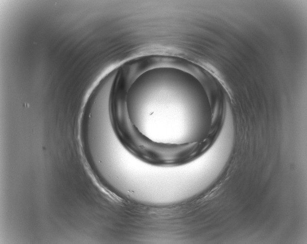 X0000066091128200603131157