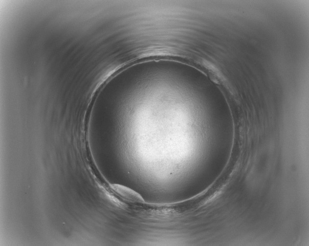 X0000066091129200603131157