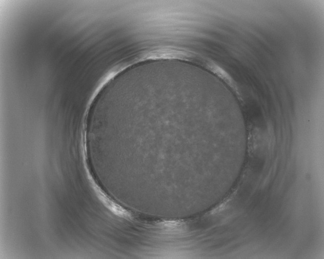 X0000066091130200603131157