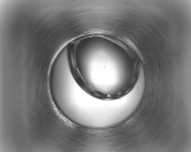 X0000066091132200603131157