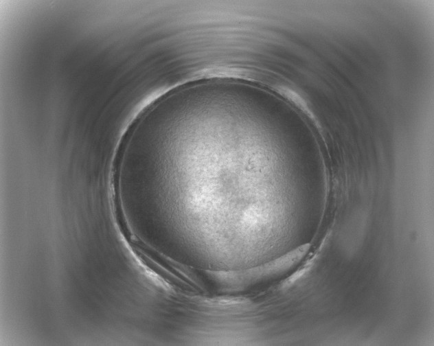 X0000066091133200603131157