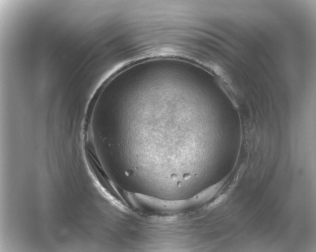 X0000066091134200603131157