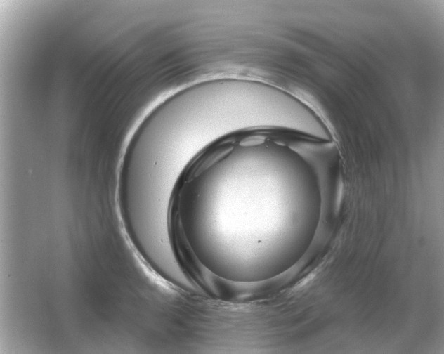 X0000066091136200603131157