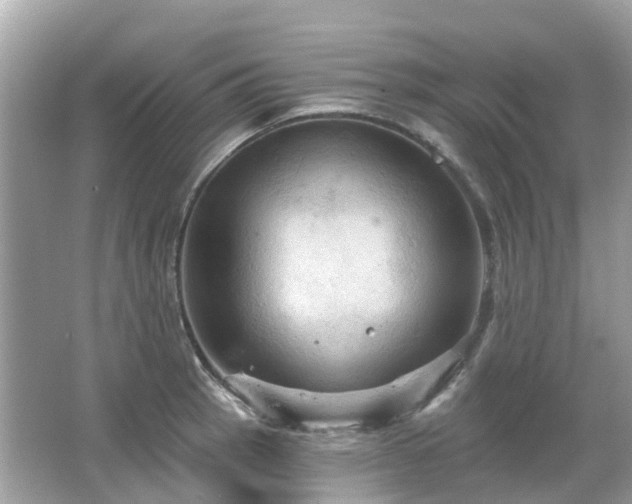 X0000066091137200603131157