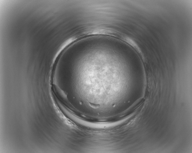 X0000066091138200603131157