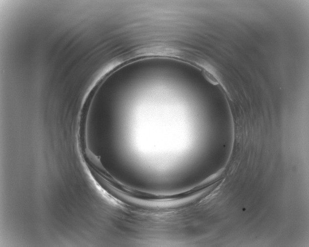 X0000066091139200603131157