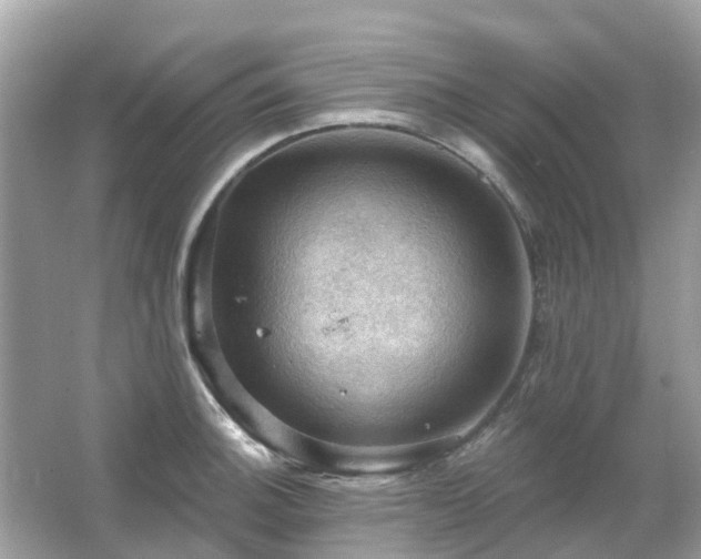 X0000066091140200603131157