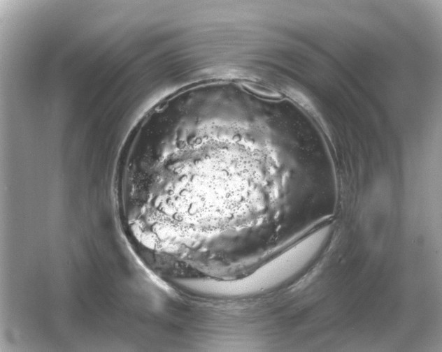 X0000066091141200603131157