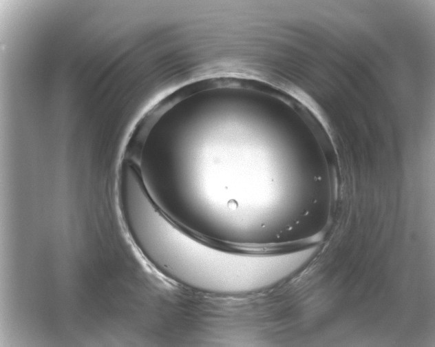 X0000066091144200603131157