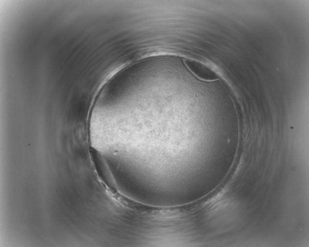 X0000066091145200603131157