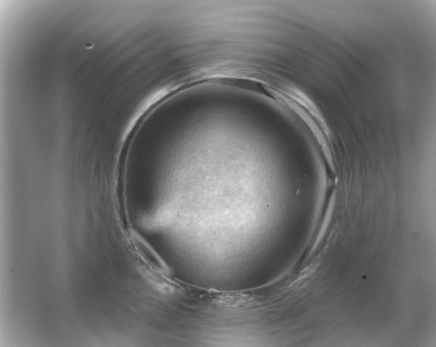 X0000066091146200603131157