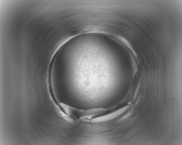 X0000066091149200603131157