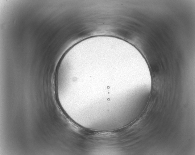 X0000066091150200603131157