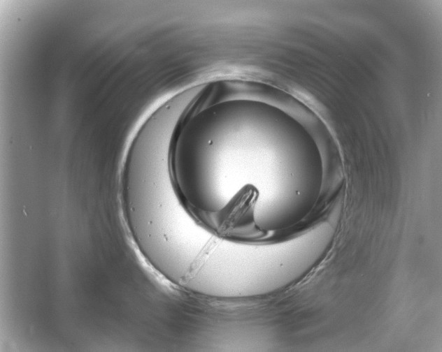 X0000066091152200603131157