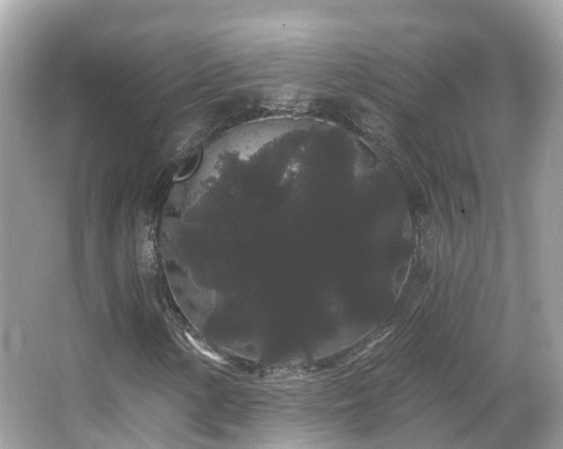 X0000066091154200603131156