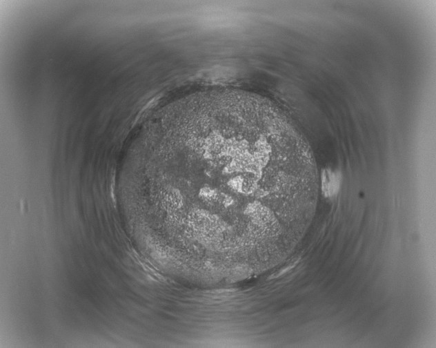 X0000066091155200603131156