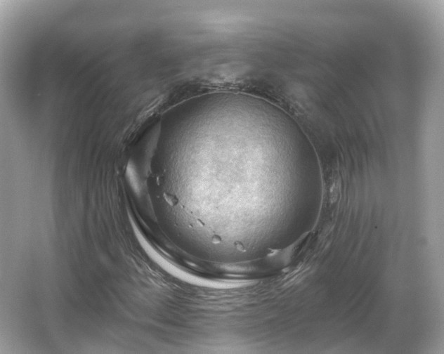 X0000066091156200603131156