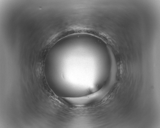 X0000066091157200603131156