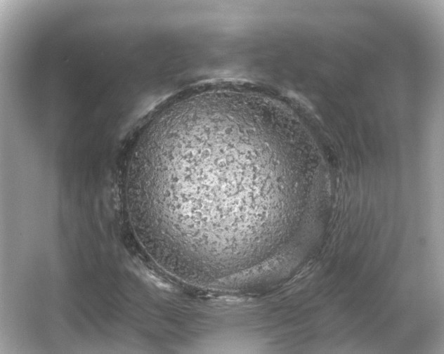 X0000066091159200603131156