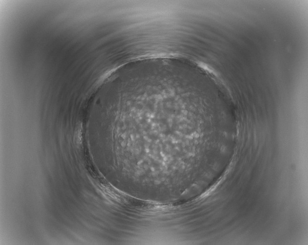 X0000066091161200603131156